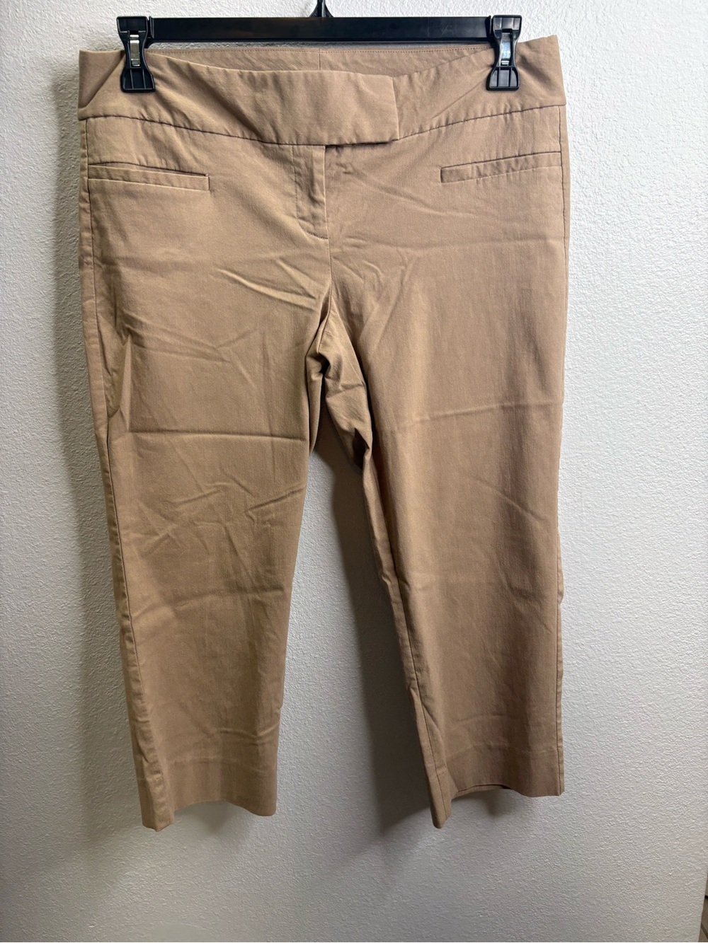 The Limited Exact Stretch Capri Size 10
